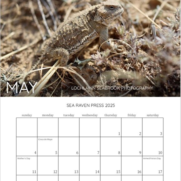 Mini 2025 Rocky Mountain Custom Wildlife Calendar For Small Spaces 11.5" x 8" - Picture 6 of 13
